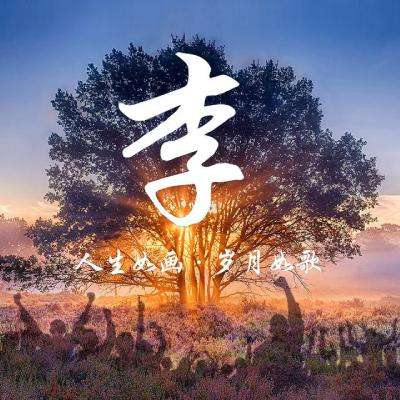 光遇抢先体验版下载
